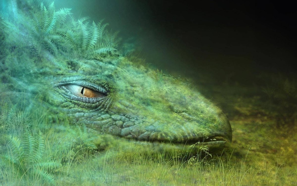 Ящерица фэнтези