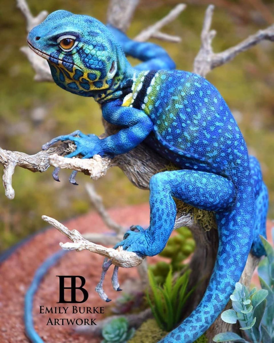 Emily Burke artwork ящерицы