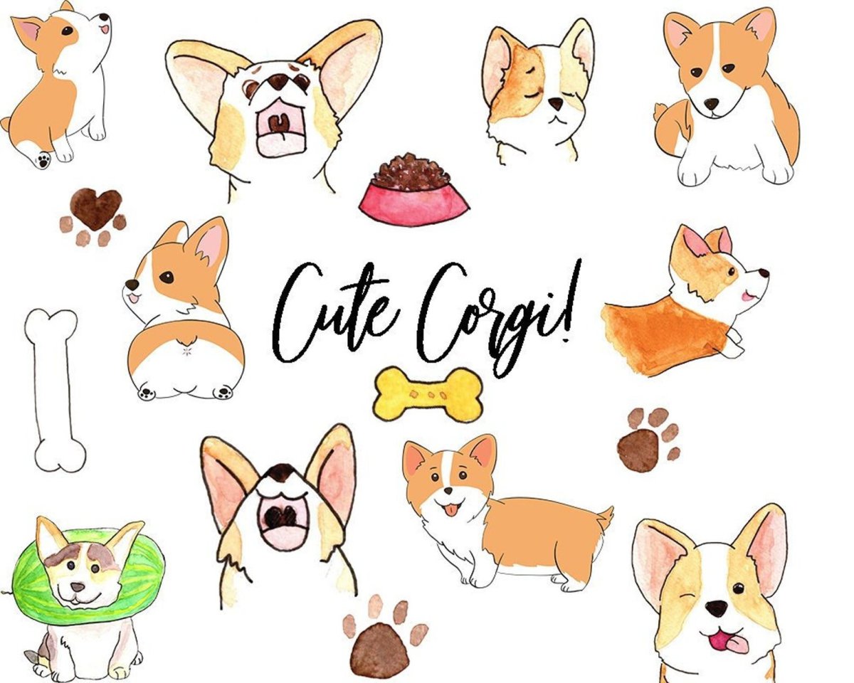 Корги векторные рисунки