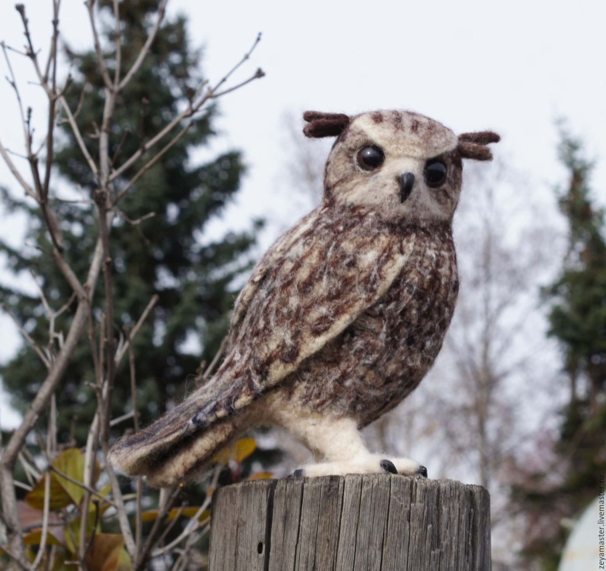 Сова коричневая