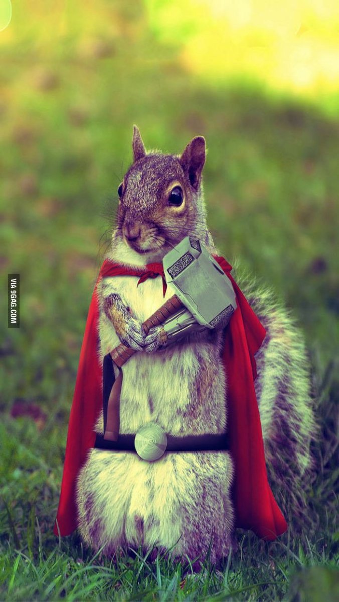 Белка с сумочкой