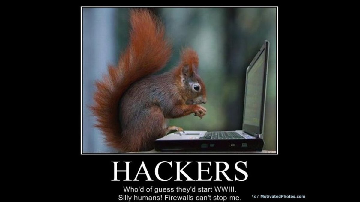 Приколы про белок