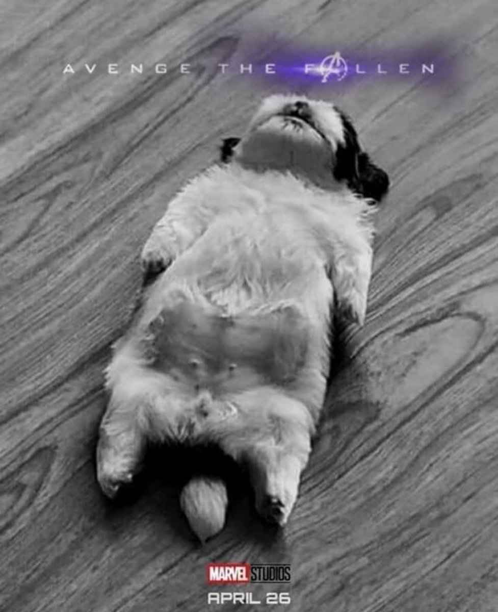 Котенок лежит на спине Мем