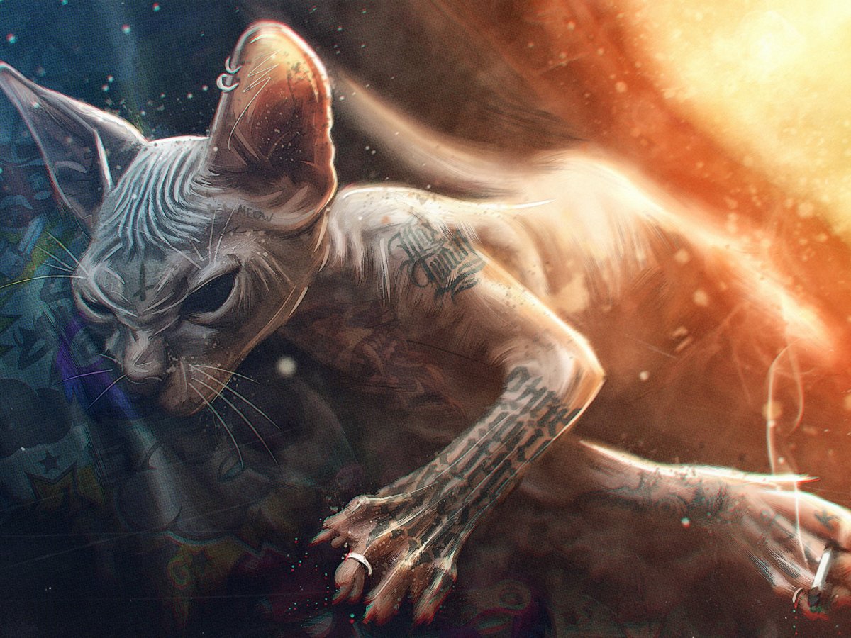 Кот Макс Твейн