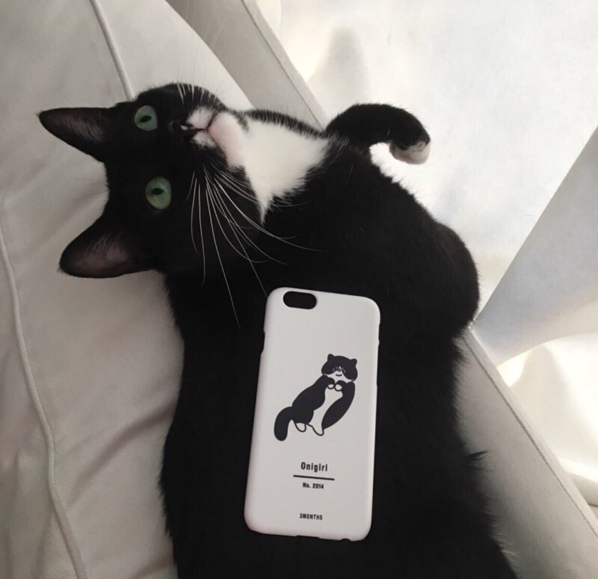 Черный кот Эстетика