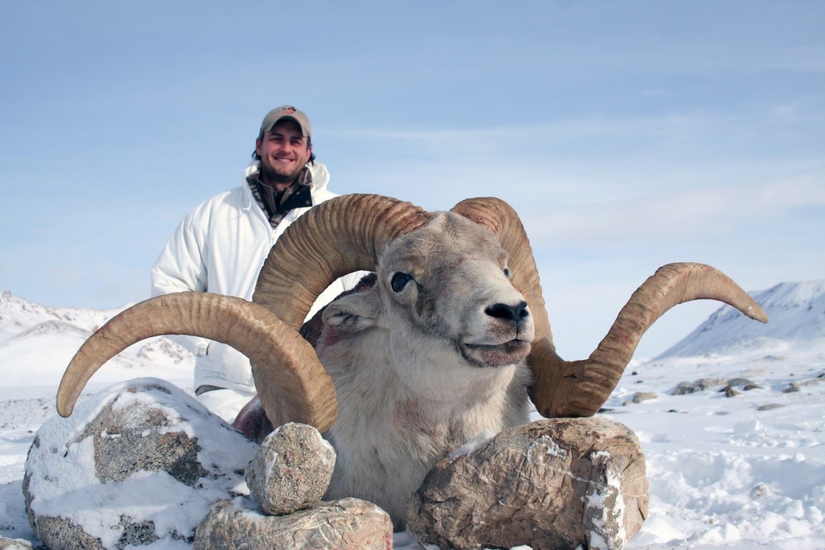 Аргали Марко поло