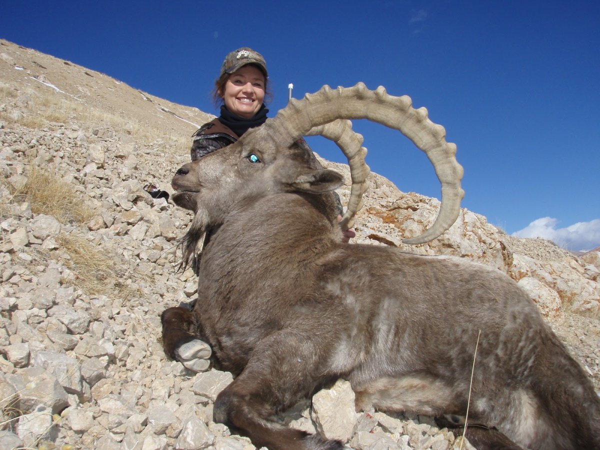 Горный козел Марко поло
