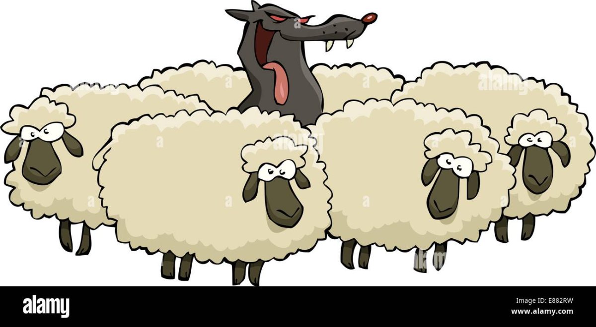 Стадо овец вектор