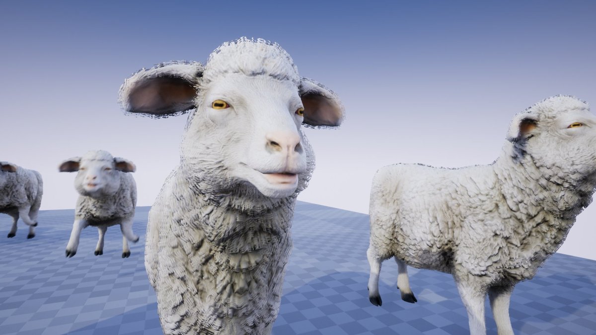 Овечки на рабочий стол