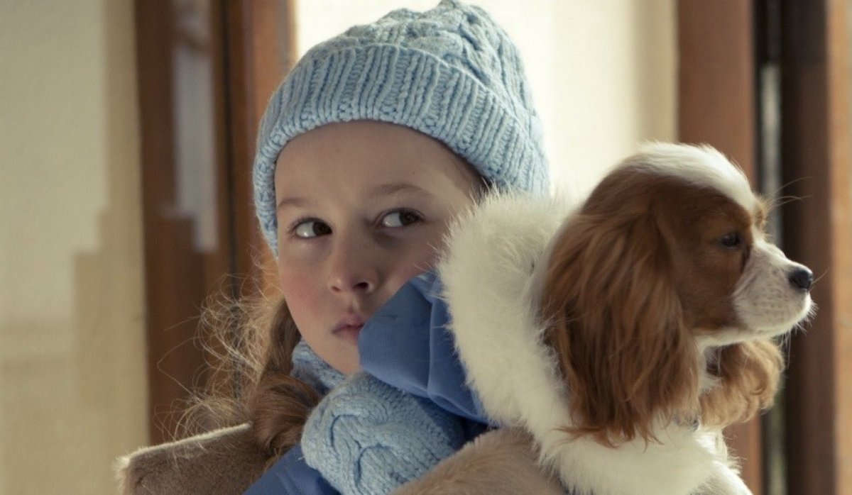 Ёлки лохматые (2014)