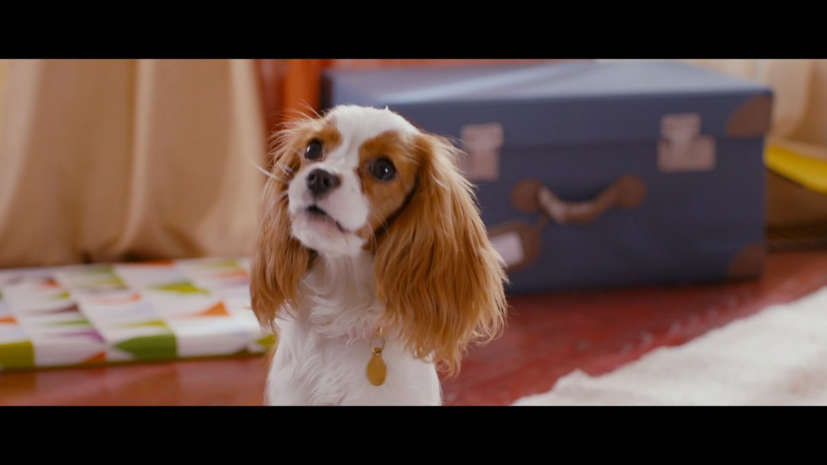 Йоко из елок лохматых