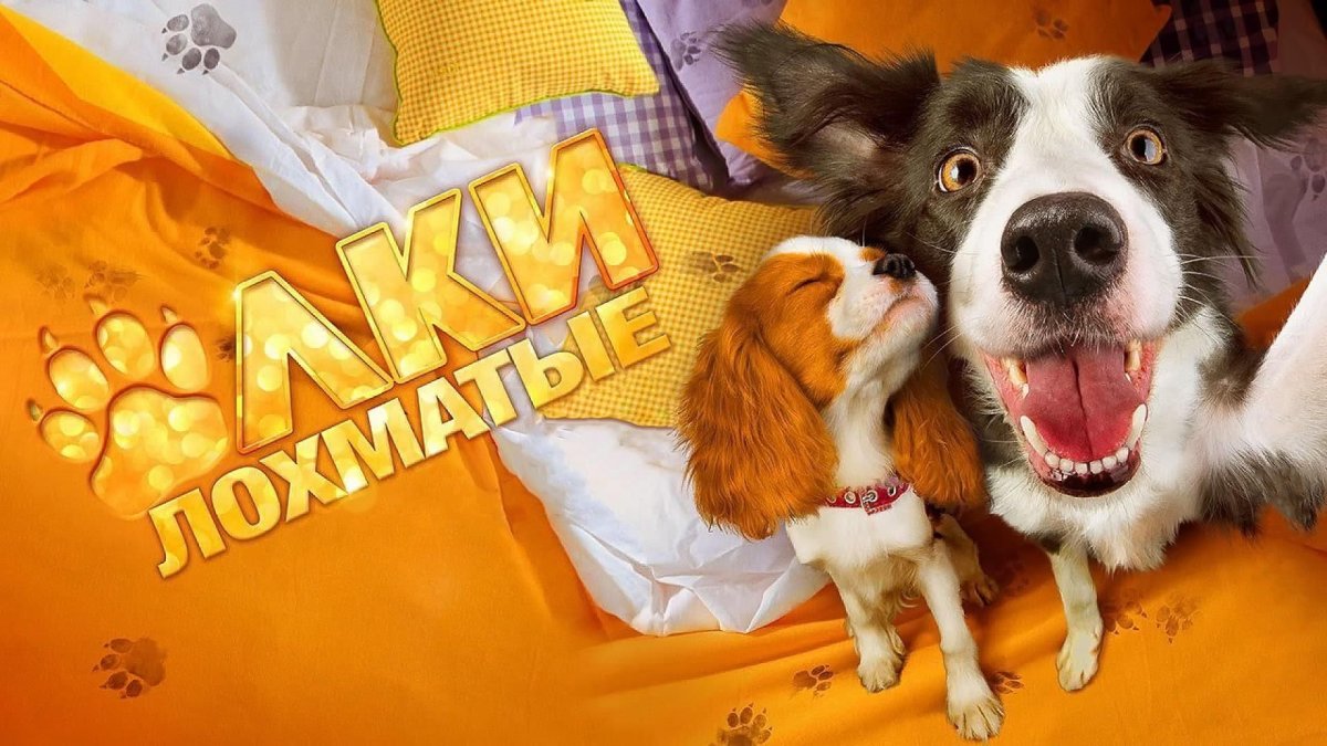 Лера Стреляева елки лохматые