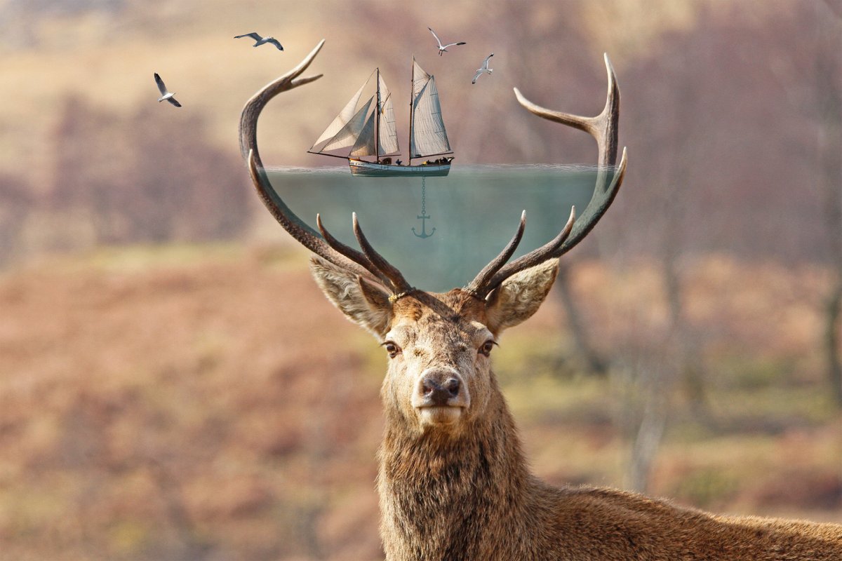 Гордый олень