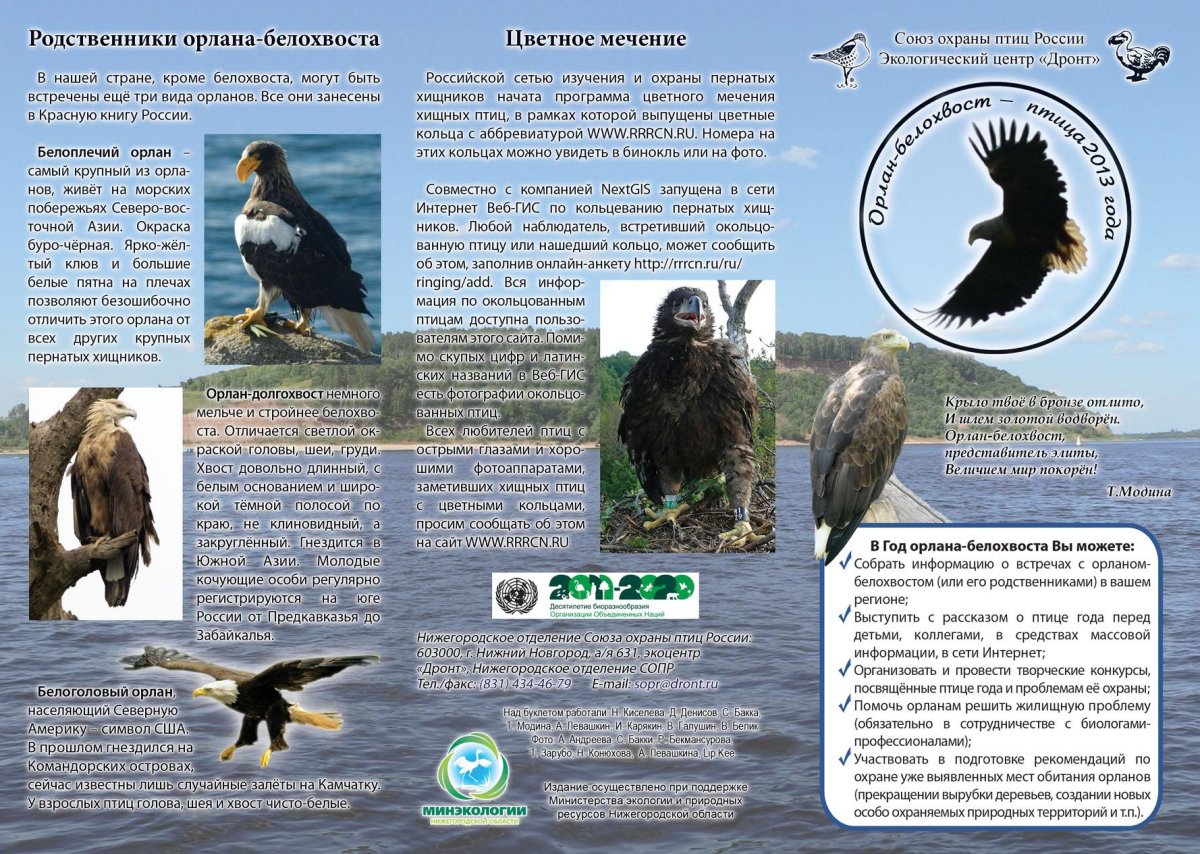 Буклет про птиц