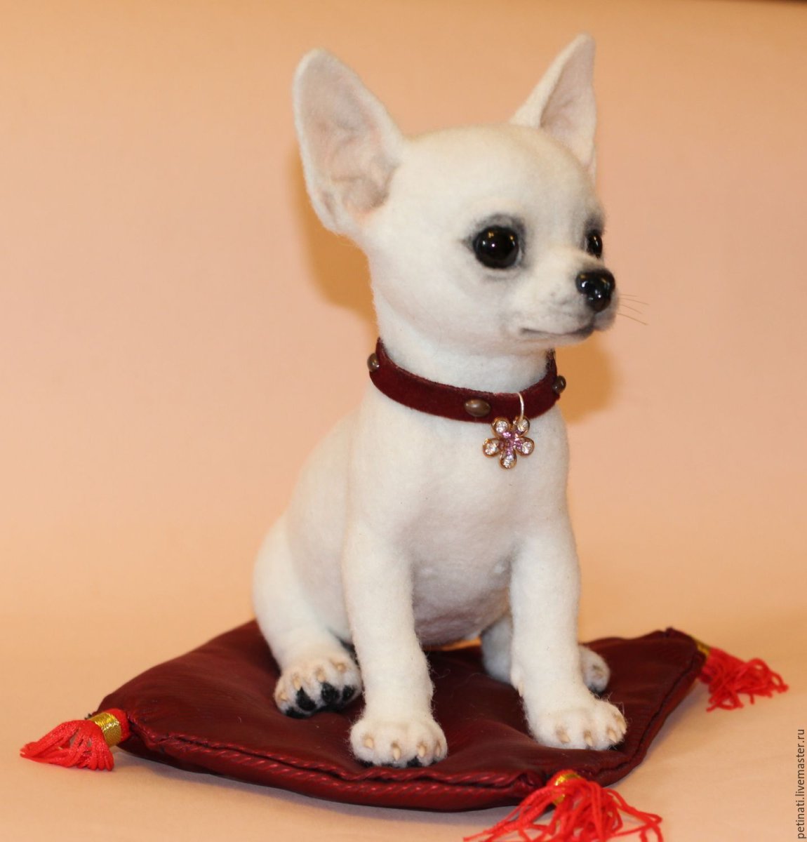 Чихуахуа классика