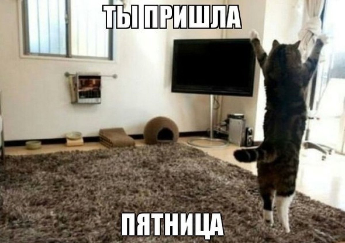 Пришел за зарядкой прикол