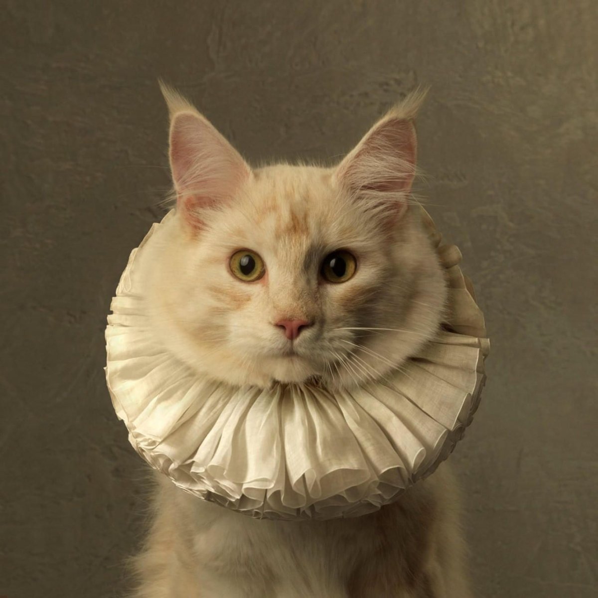 Marie Cecile Thijs коты