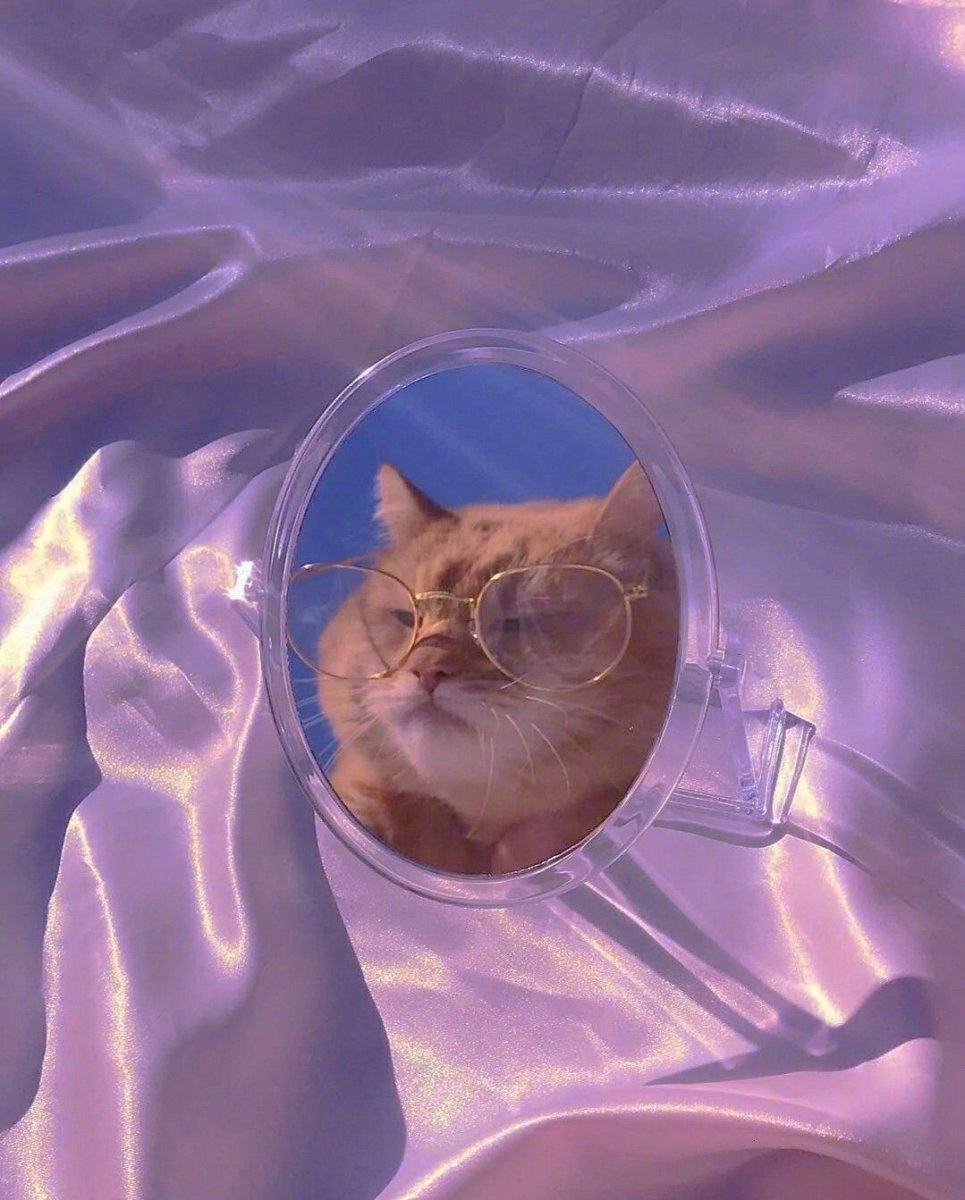 Котик в очках Эстетика
