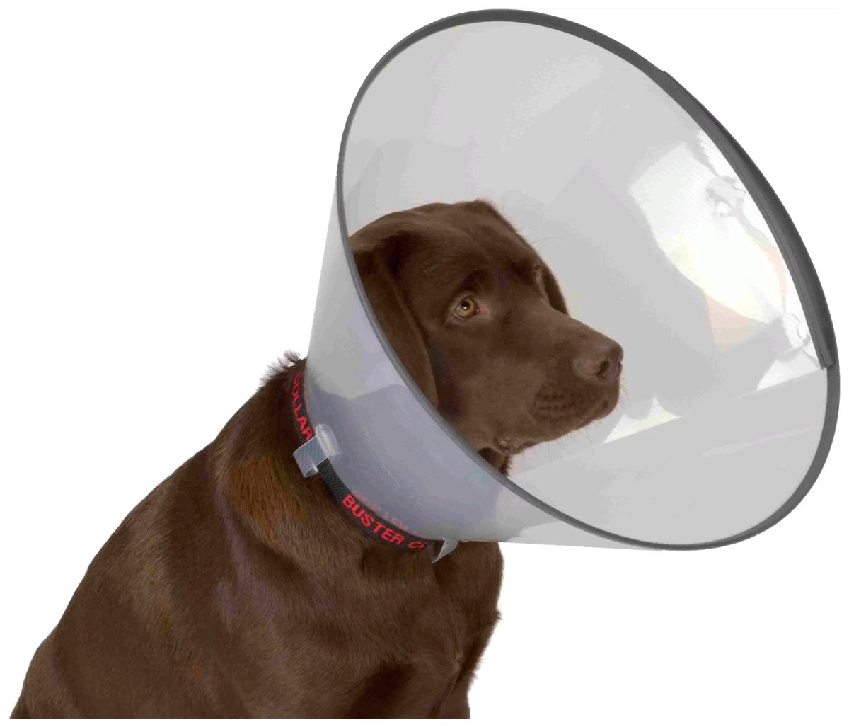 Защитный воротник Kruuse Buster Comfort Collar 10 см