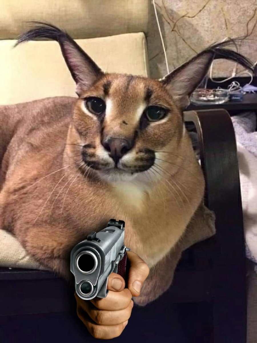 Каракал floppy