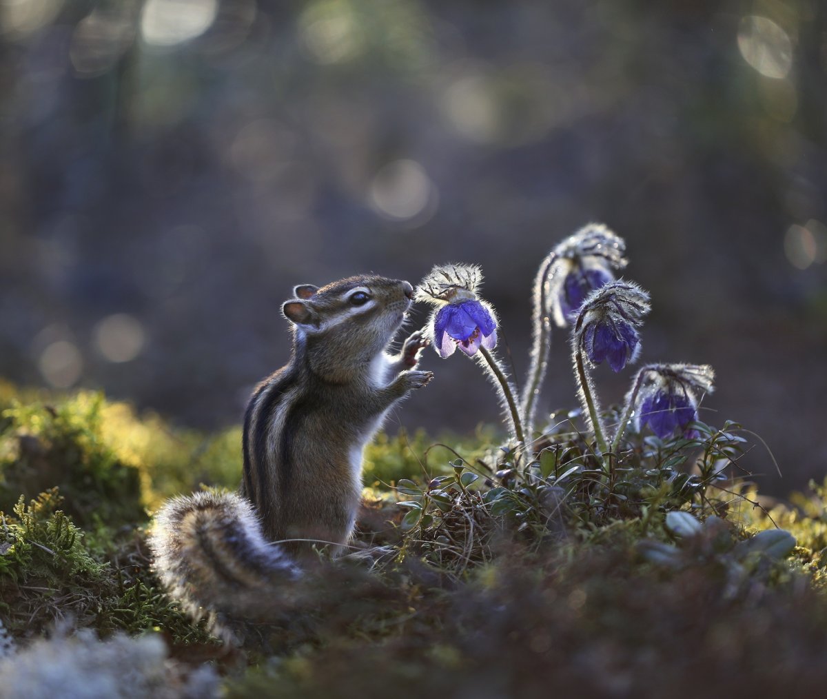 Евгения Левина фотограф