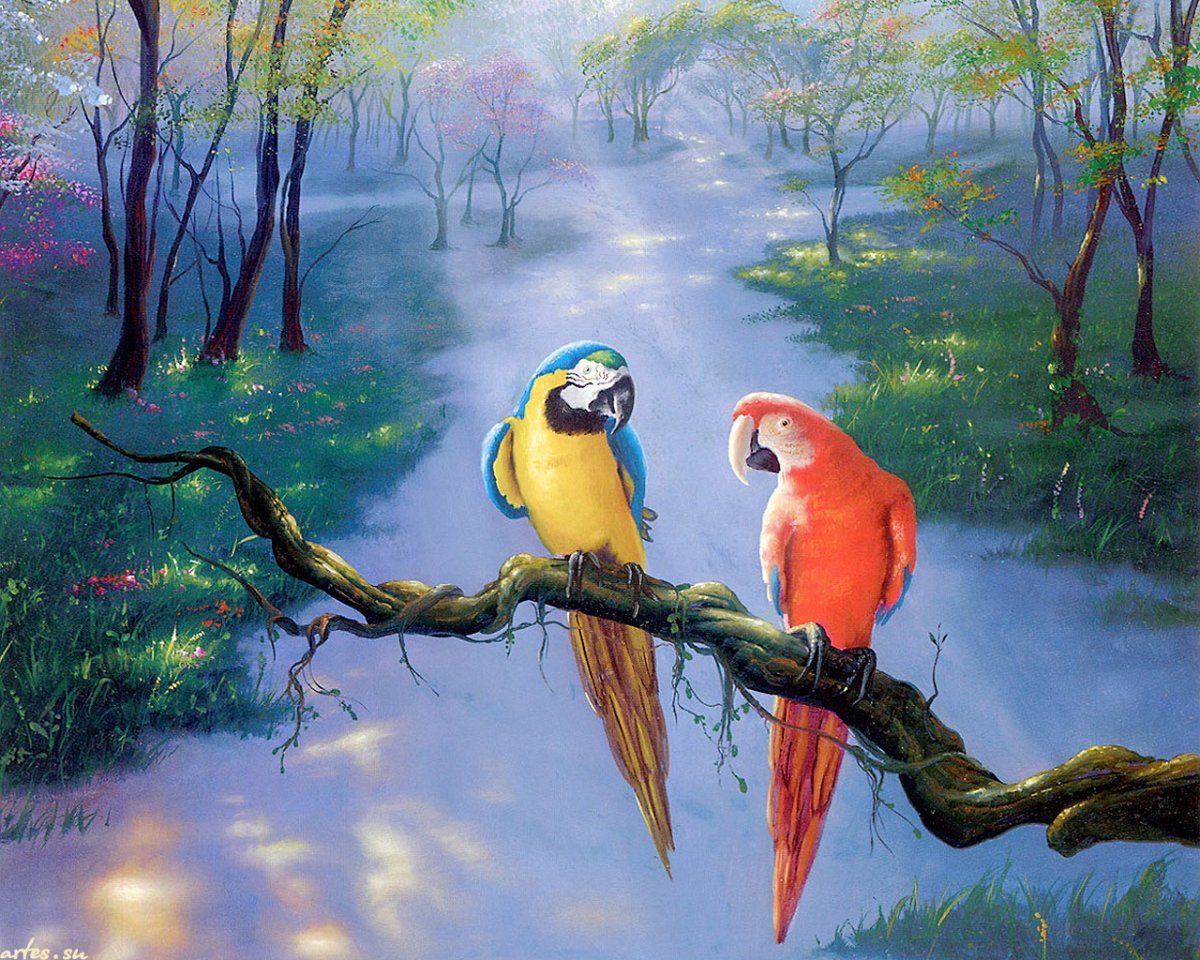 Белый Какаду