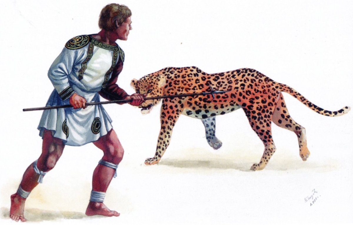 Бои гладиаторов в древнем Риме