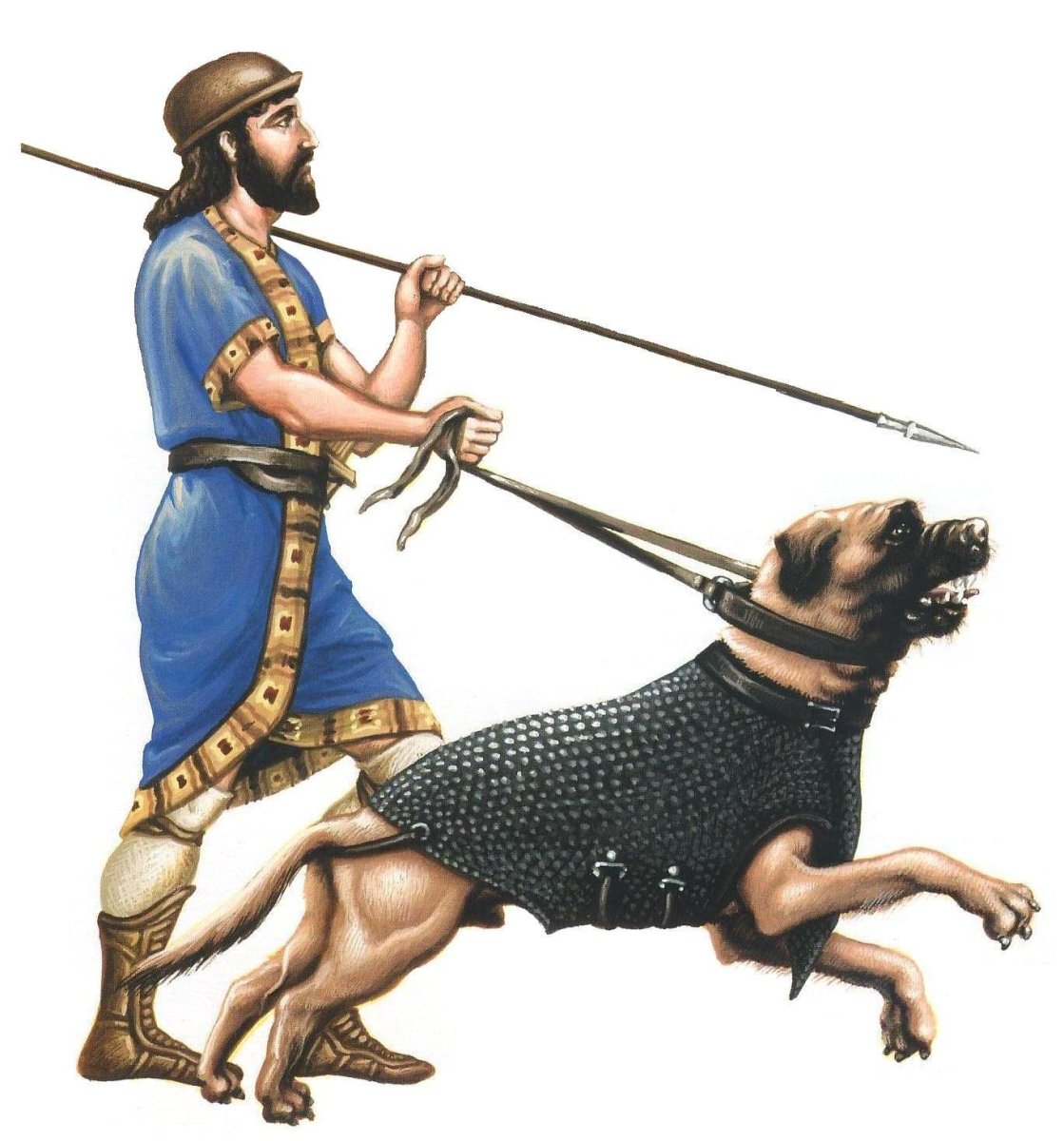 Собака в латах