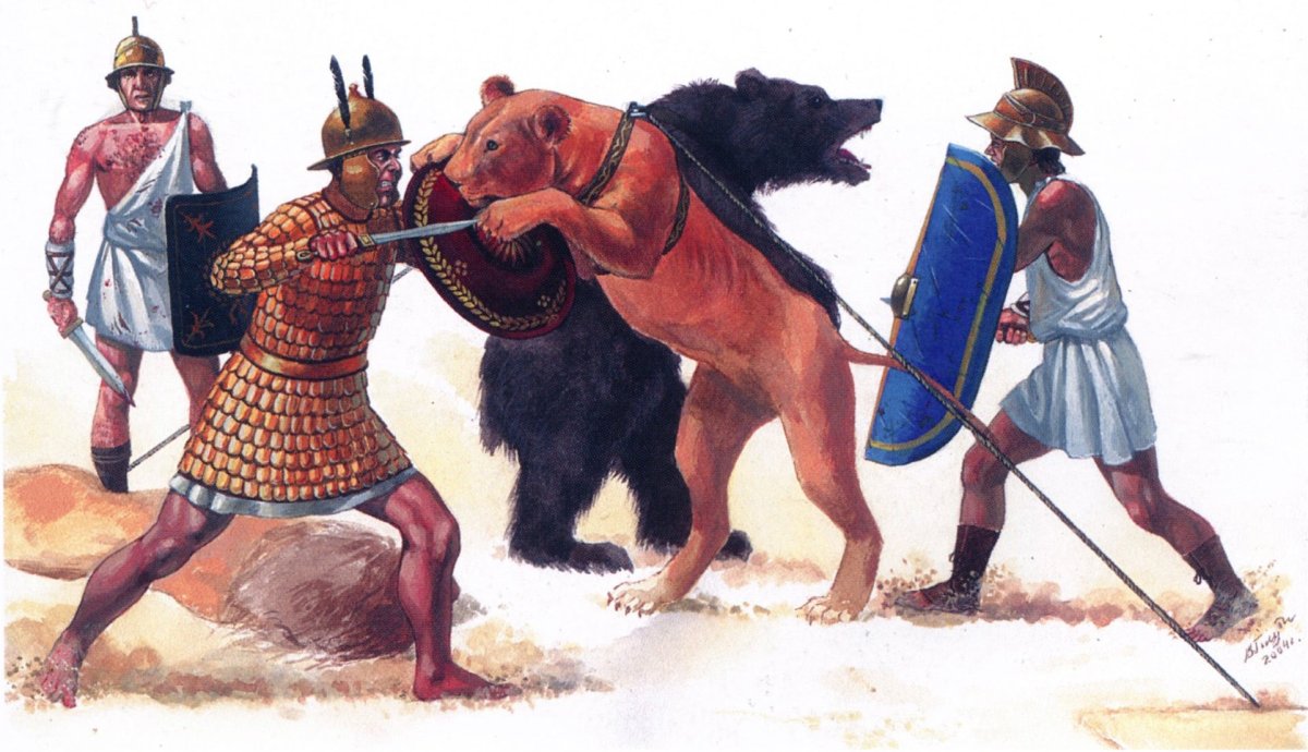 Бои гладиаторов в древнем Риме с животными