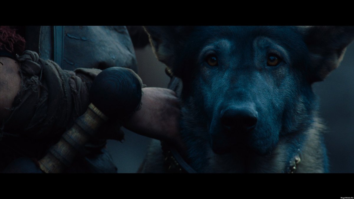 Гладиаторские бои