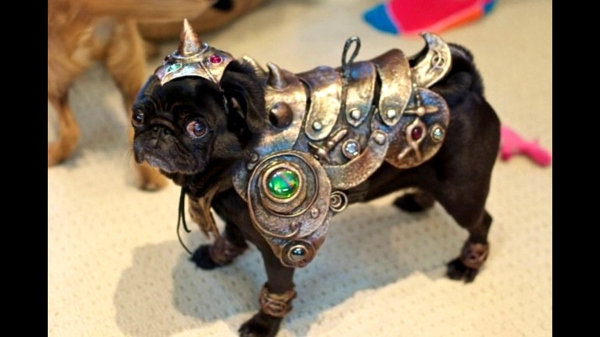 Кане Корсо Гладиатор