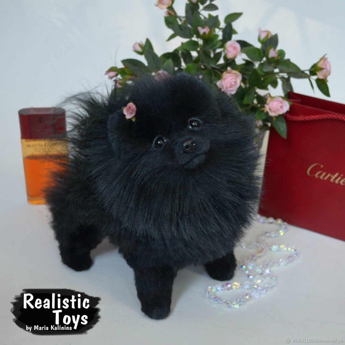 Стриженный шпиц Беленький