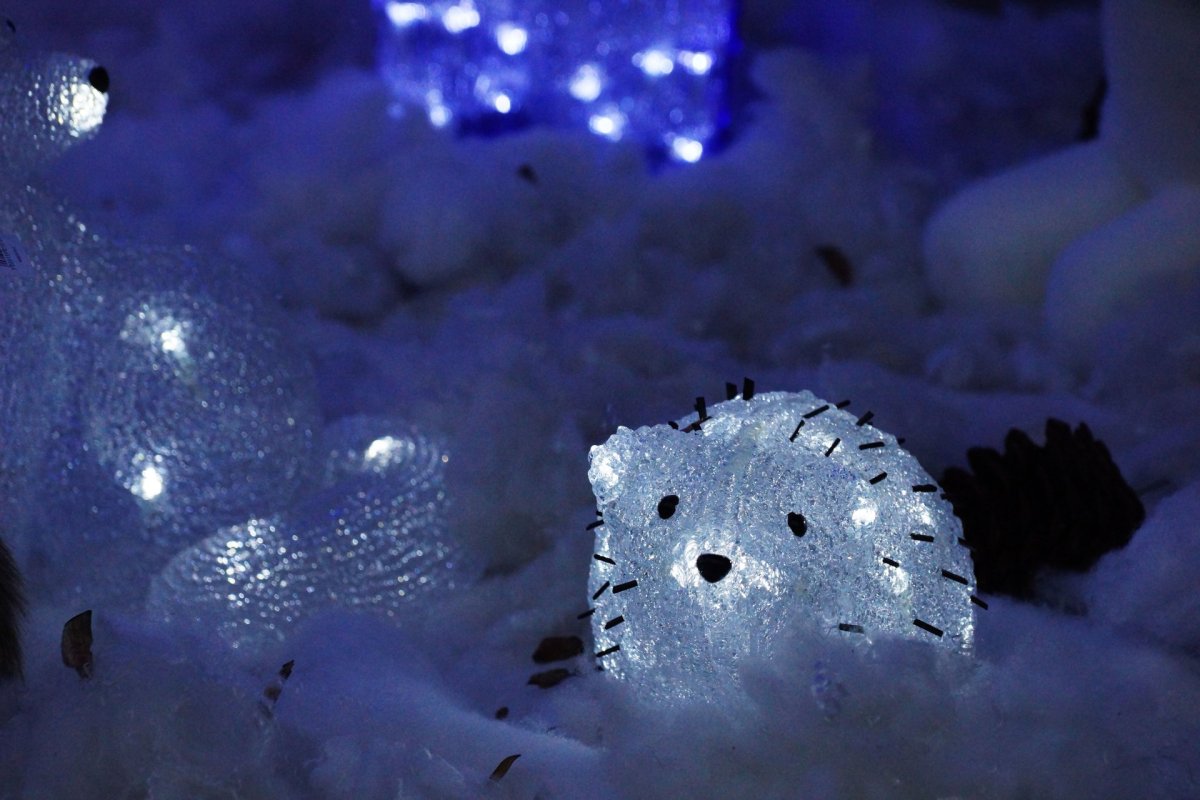 Новогодняя сказка