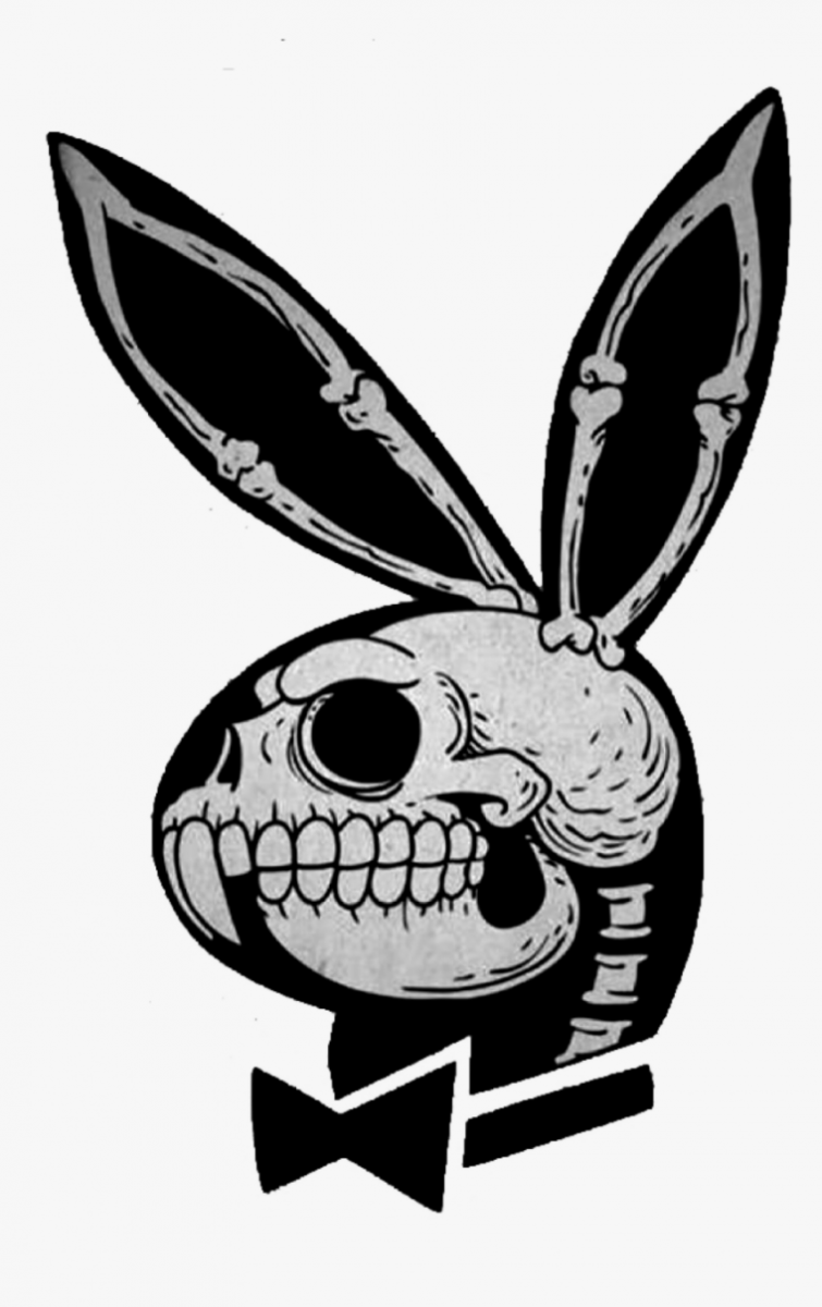 Черный крольчонок