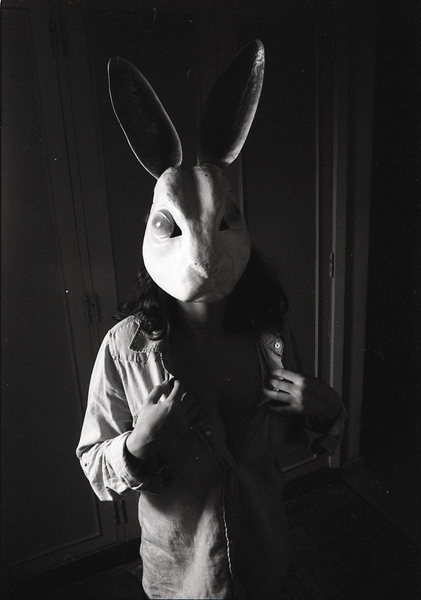 Белый кролик