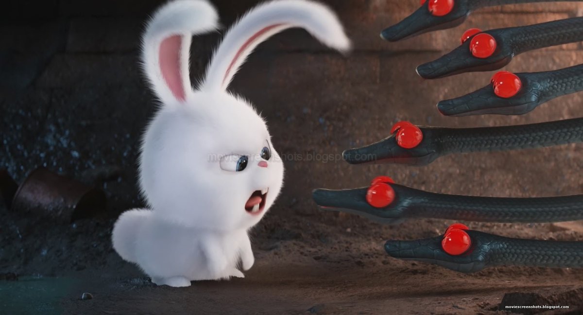 Фон темный заяц злой