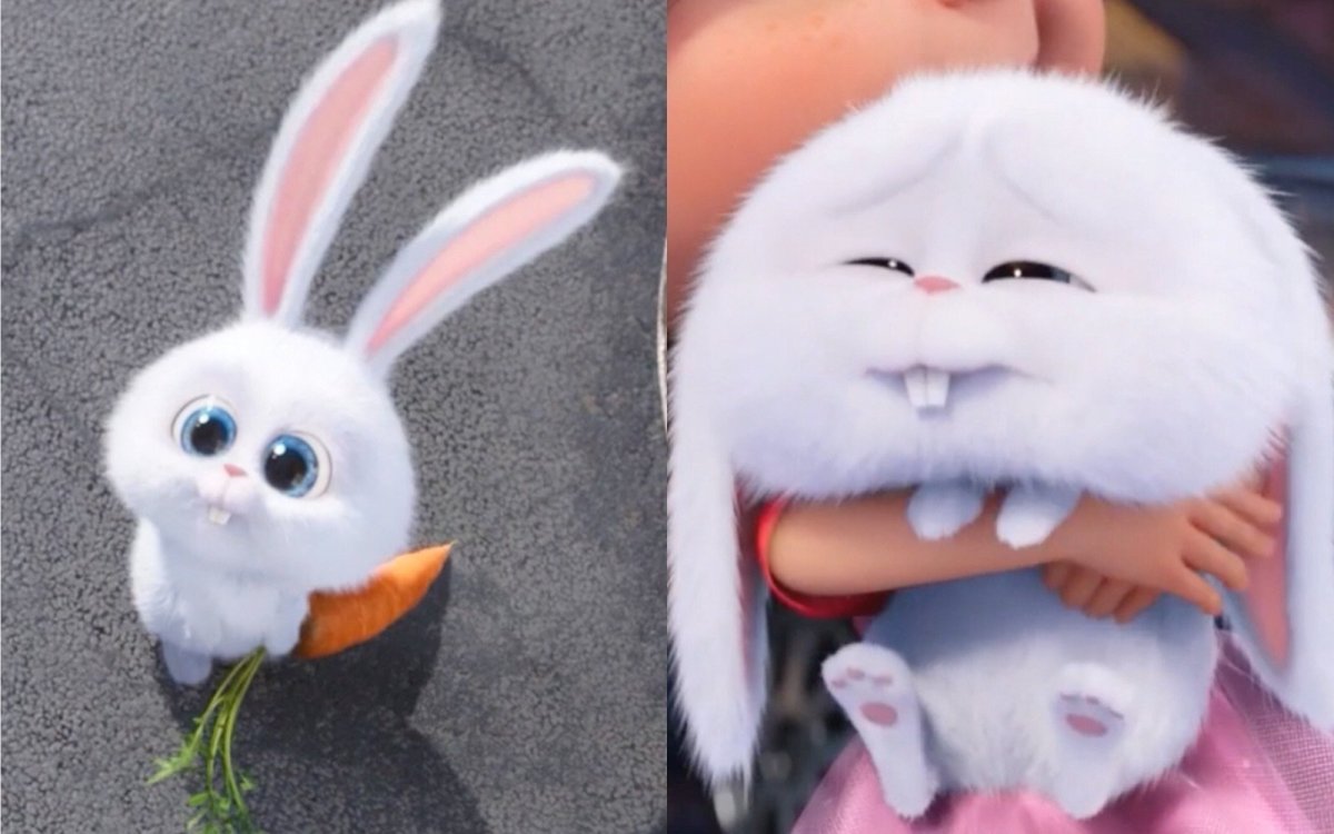 Кролик из Тайная жизнь гиф