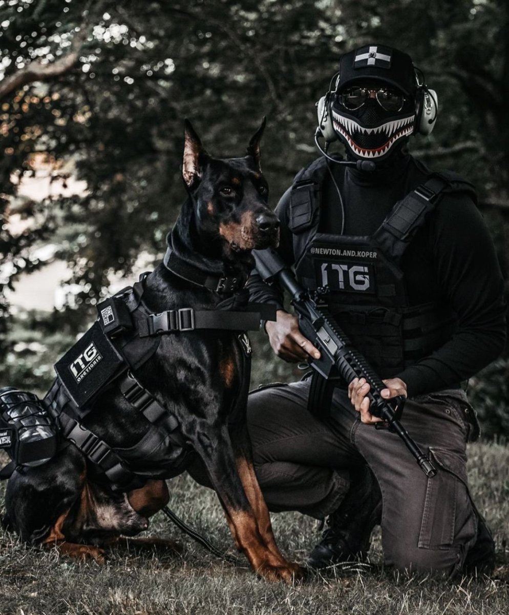 Доберман полицейский