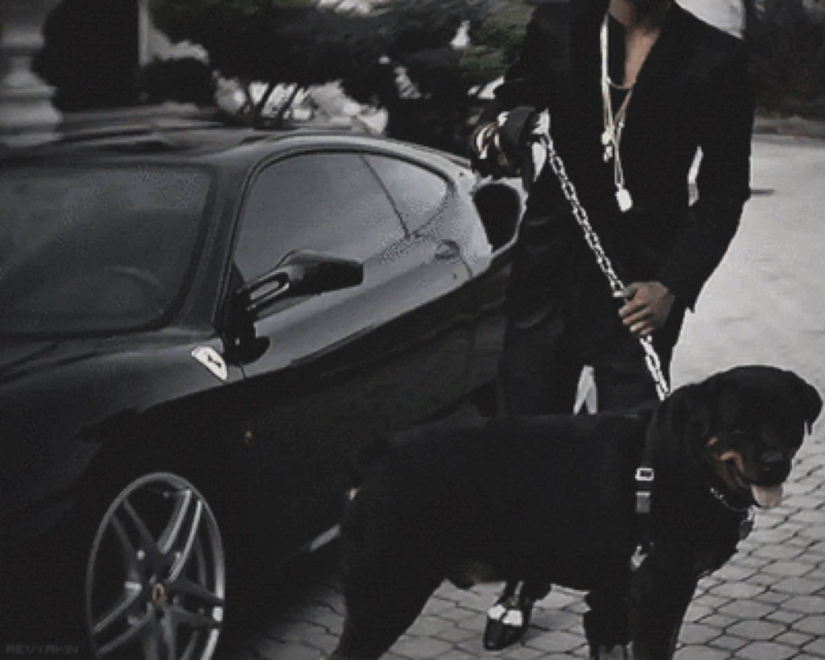 Парень с ротвейлером