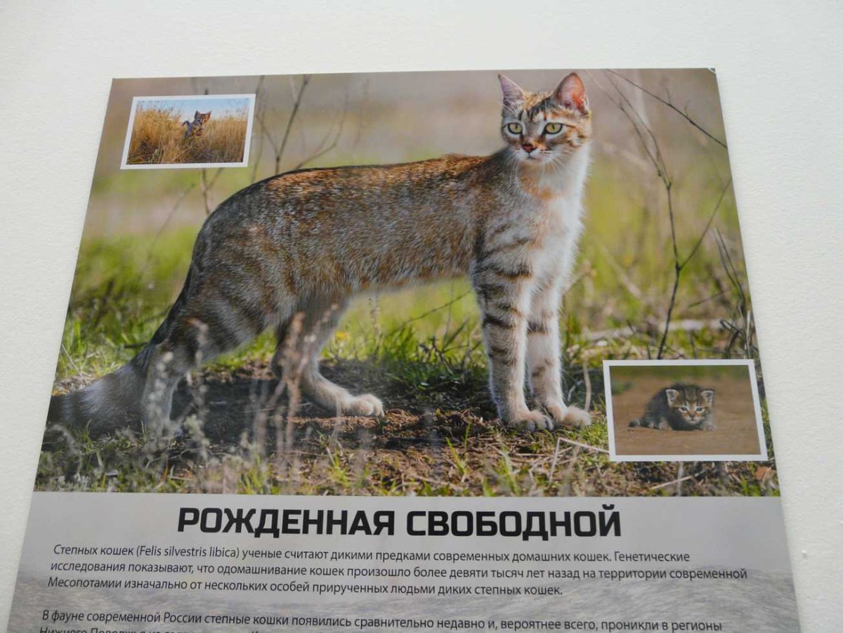 Утро воскресенья