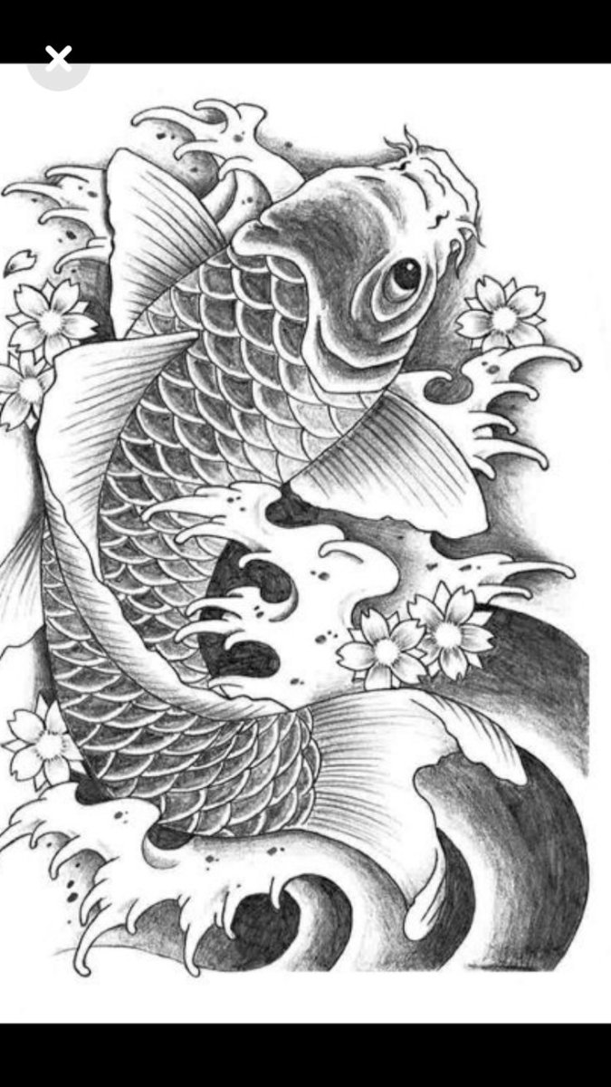 Японский Карп тату эскиз