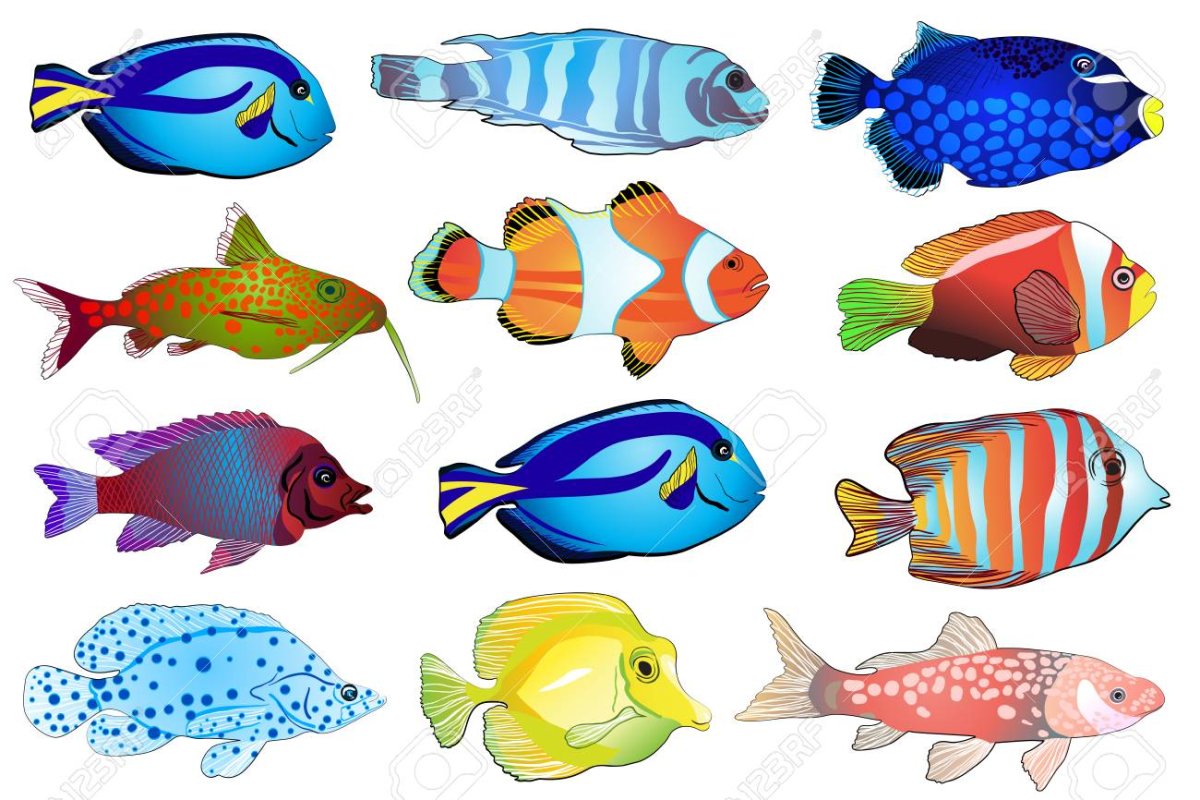 Аквариумные рыбки вектор