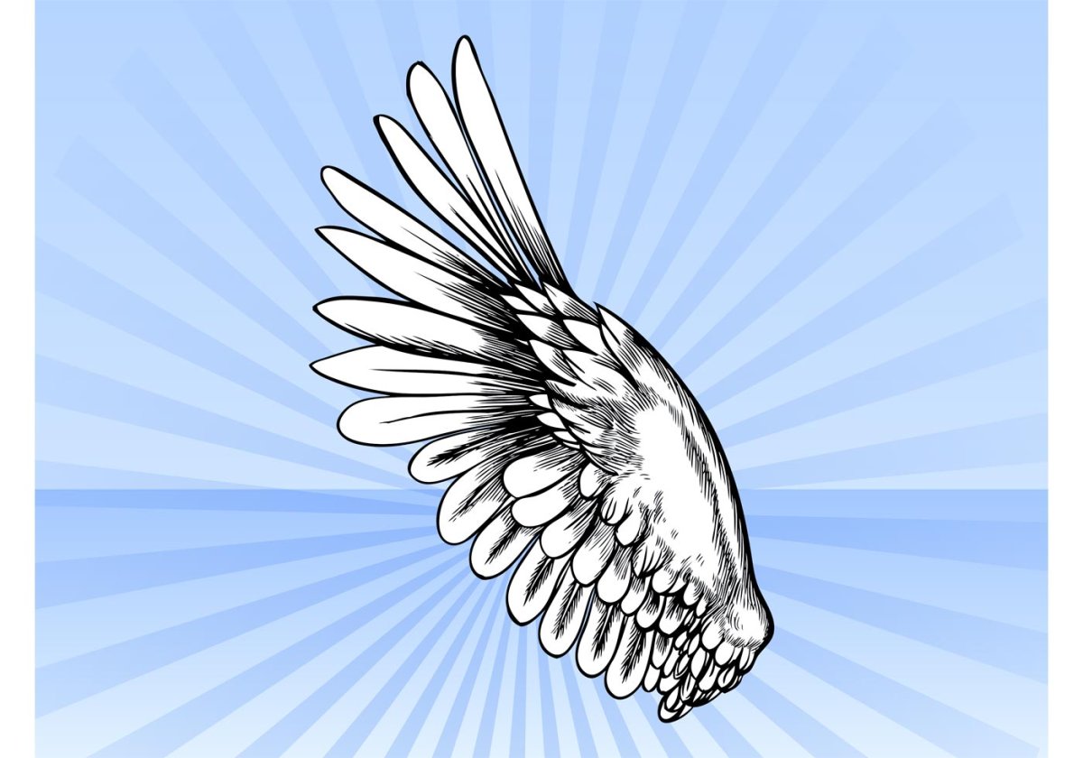 Крыло птицы вектор