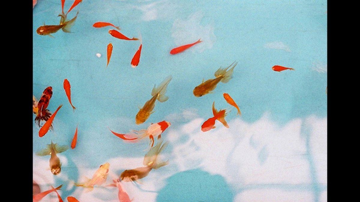 Эстетика оранжевого и голубого