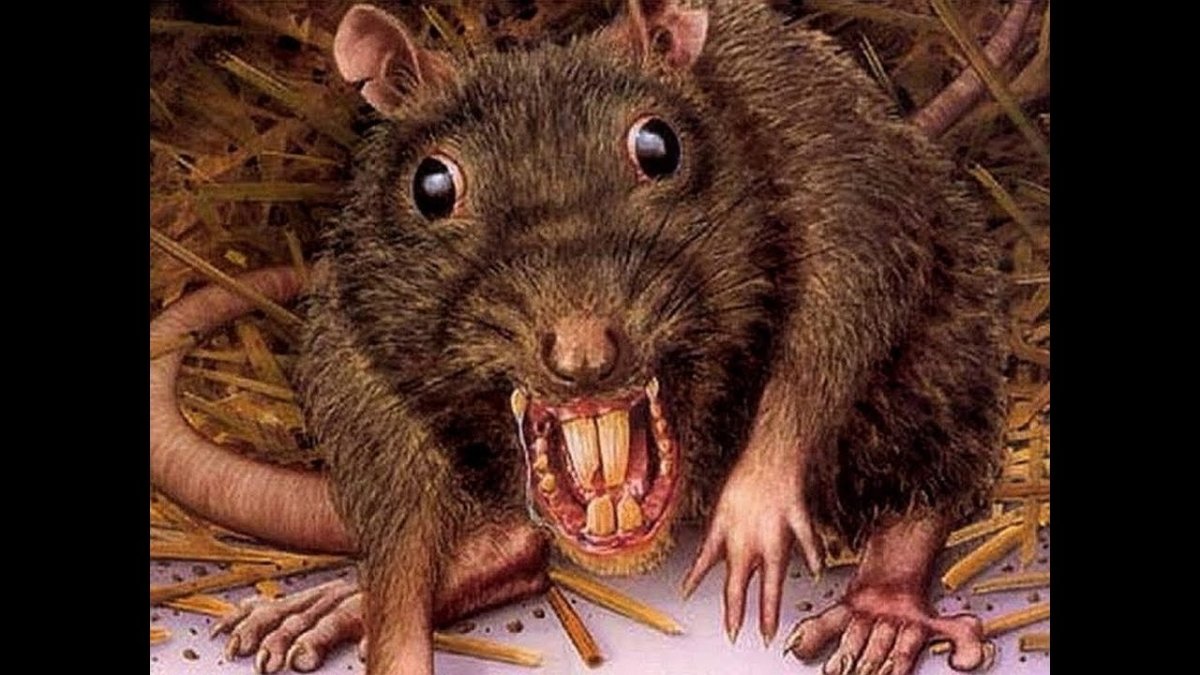 Белая крыса мультяшная