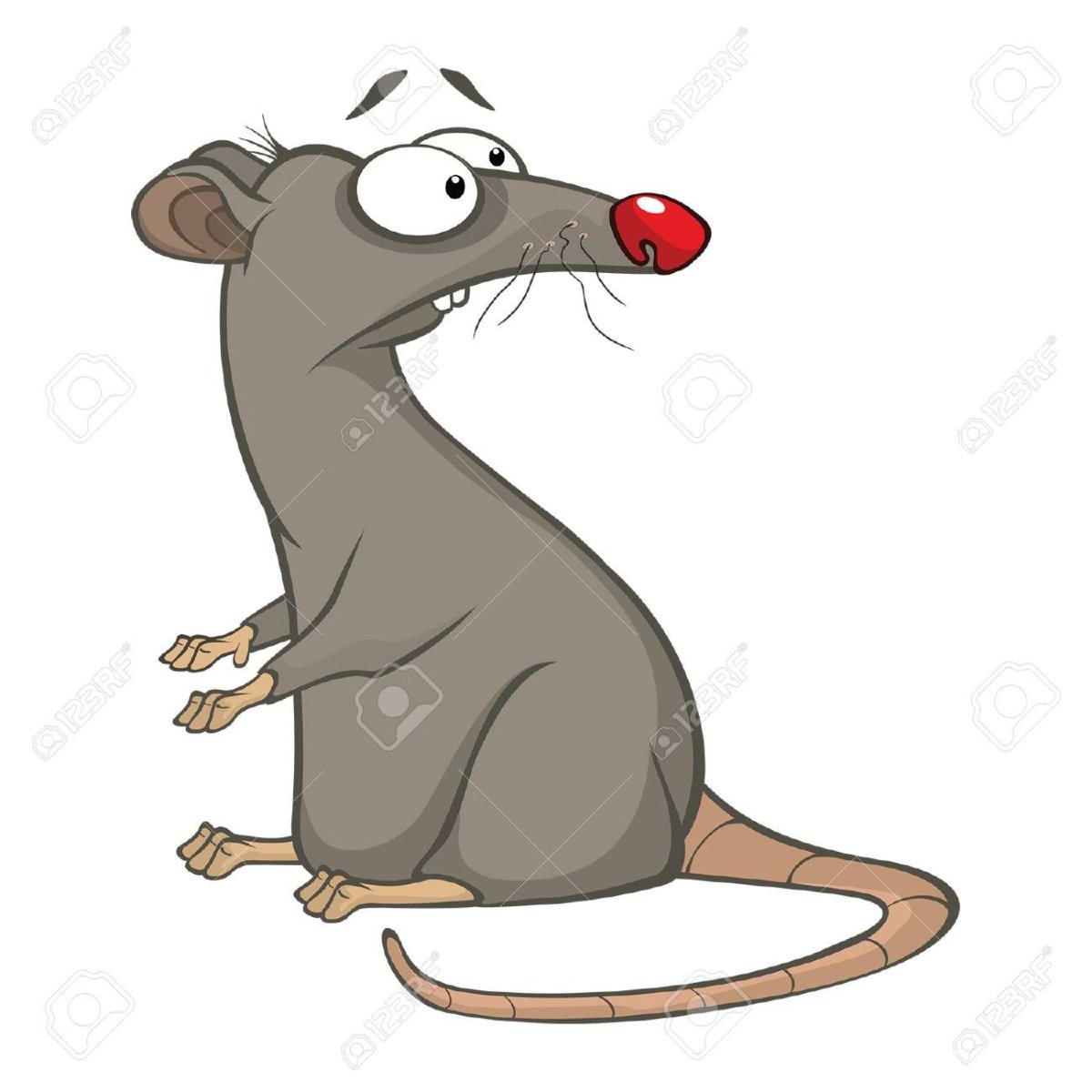 Испуганная крыса