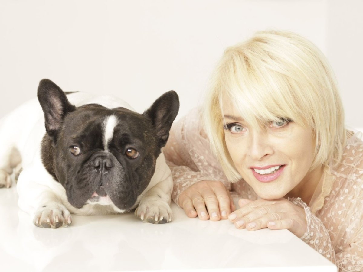 Намордник для американского булли