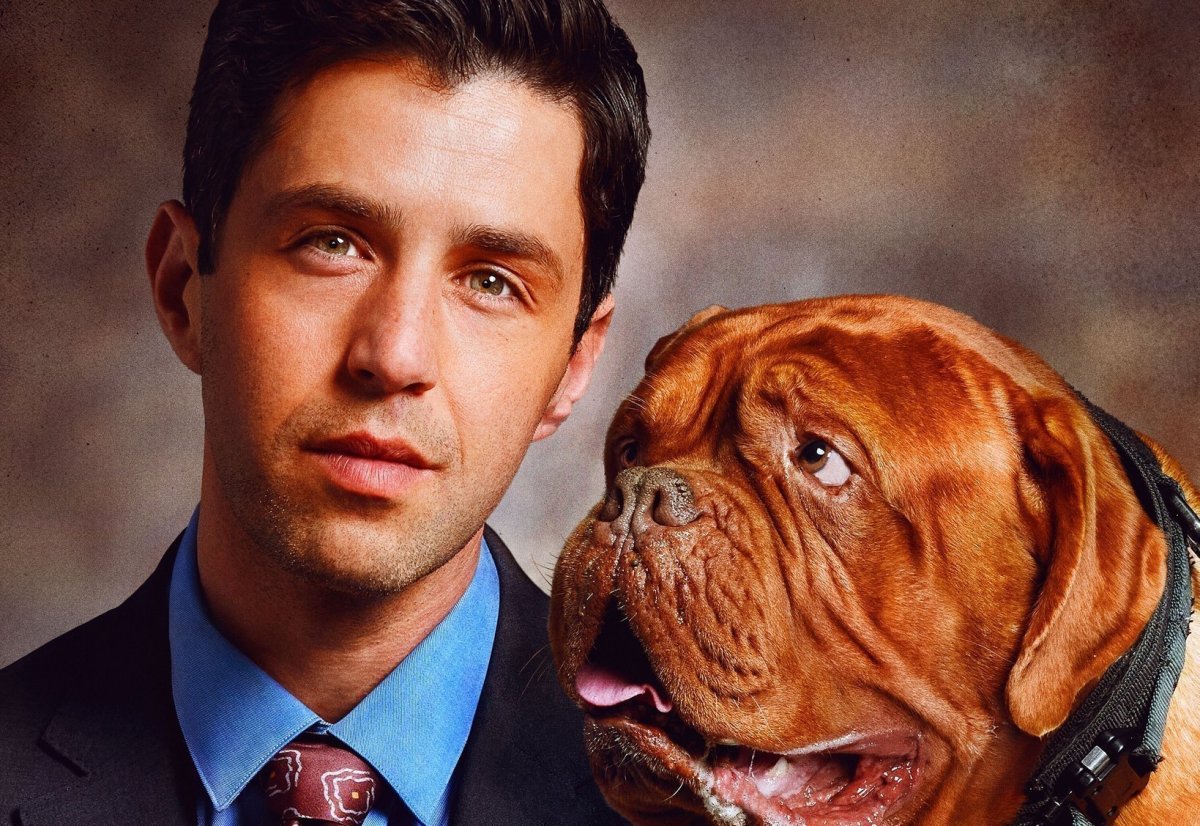 Бульдог буч