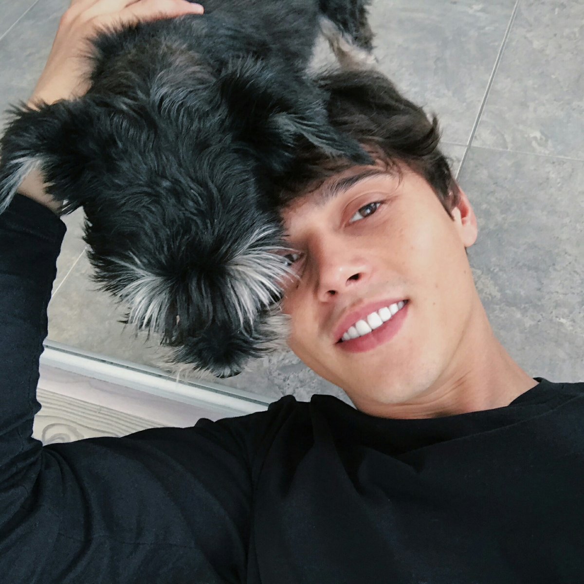 Эстетика собак