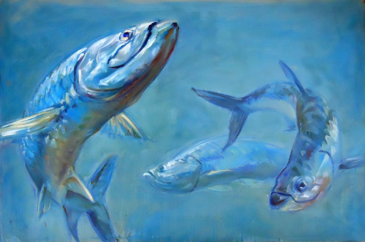 Щуковидный жерех